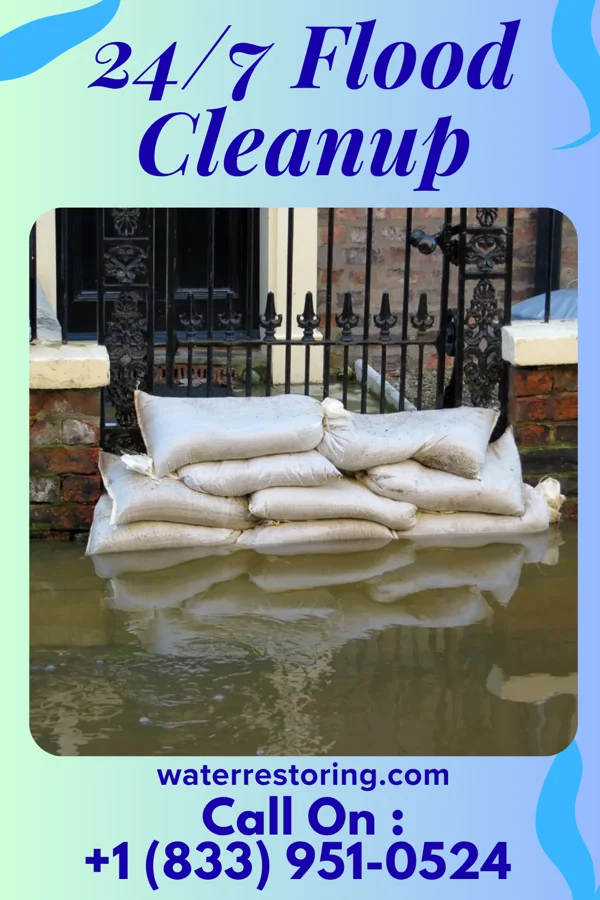 24/7 Flood Cleanup in Westfield, IL