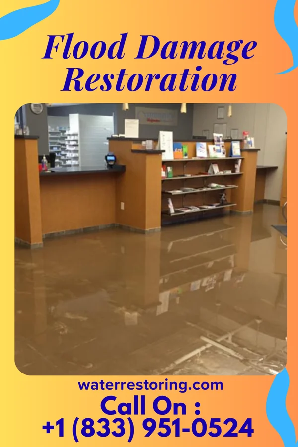 Flood Damage Restoration in Westfield, IL