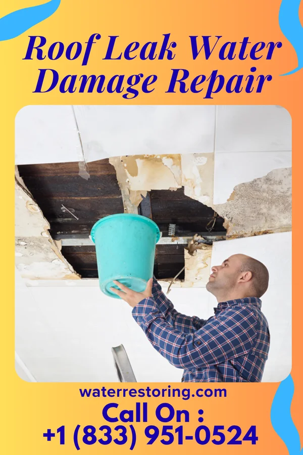 Roof Leak Water Damage Repair in Westfield, IL