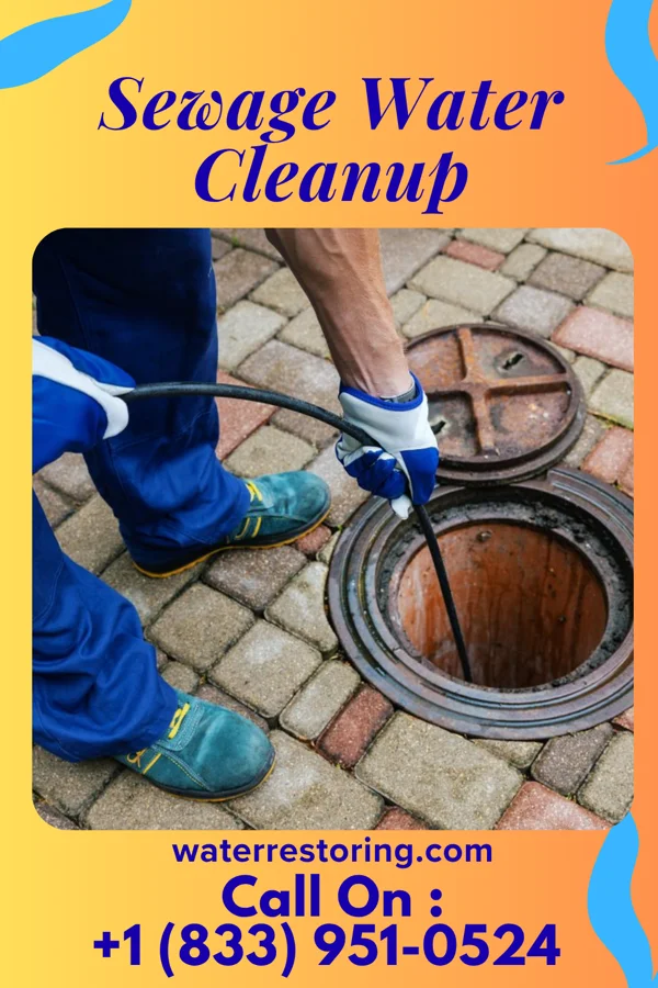 Sewage Water Cleanup in Westfield, IL