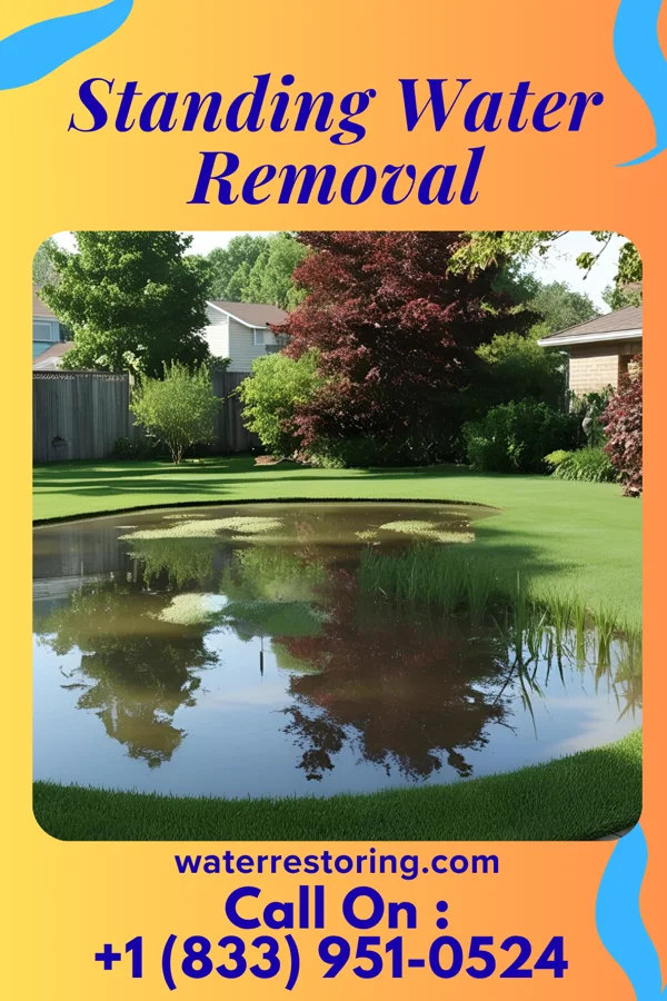 Standing Water Removal in Westfield, IL